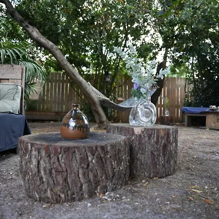 Maison Bois 6pers בית נופש